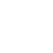 icon of half a brain and half a computer chip, spiretech ai services