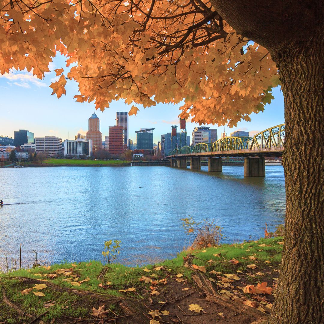 Scary Cyberattacks in Portland | from SpireTecb