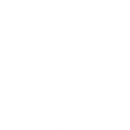 icon of half a brain and half a computer chip, spiretech ai services